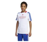 Maillot enfant adidas House Of Tiro Nations Blanc 11/12 ans