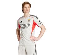 Maillot Extérieur Benfica Lisbonne 2025/26 Gris M Male