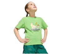 Adidas T-shirt à Manches Courtes Minecraft Terrex