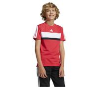 Adidas T-shirt à Manches Courtes Seasonal Essentials Tiberio 3 Stripes