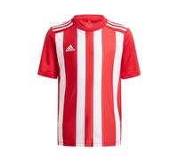 Adidas T-shirt à Manches Courtes Striped 21
