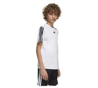 adidas Train Essentials 3-Stripes T-Shirt Garçon (Lot de 1)