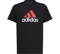Adidas T-shirt Big Logo 2 Tee JR, HR6369, Pointure: 164