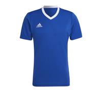 ADIDAS T-SHIRT HOMME COLLECTION 2026 COL V DU S AU 3XL