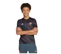 Adidas T-shirt Manches Courtes Junior Avant-match Fc Bayern 25/26