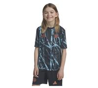Adidas Fc Bayern Munich 24/25 Pre Match Junior Short Sleeve T-shirt Bleu 15-16 Years Garçon