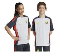 Adidas T-shirt Manches Courtes Junior Benfica 24/25