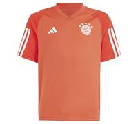 Adidas T-shirt Manches Courtes Junior Entraînement Fc Bayern Munich 23/24