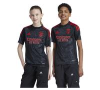 Adidas T-shirt Manches Courtes Junior Loin Benfica 24/25