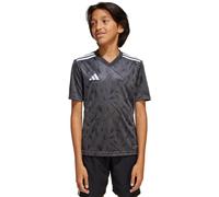 adidas Team Icon 25 T-shirt Training Jr 164 Noir/Blanc