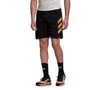 adidas Terrex AGR Alla Short Short Homme