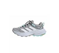 Adidas Chaussures de randonnée Terrex Freehiker SL Gore-Tex Gris/argent Femme 38.2/3