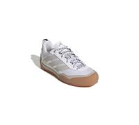 Adidas Terrex Skychaser Solo Approach Shoes Blanc EU 40 2/3 Femme