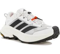 adidas Terrex Freehiker SL Gore-Tex Blanc 46.2/3