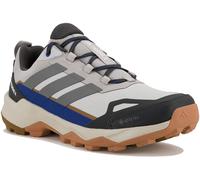adidas Terrex Skychaser AX5 Gore-Tex Gris/argent 40.2/3