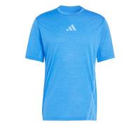 ADIDAS TERREX T-Shirt fonctionnel 'Xperior' azur / bleu clair / blanc, Taille S
