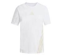 ADIDAS TERREX T-shirt fonctionnel 'Xperior' kaki / blanc, Taille XXL