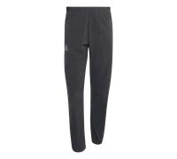 adidas Terrex - Xperior Light Pants - Pantalon de trekking - L - Regular - black
