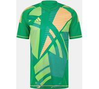 Adidas Tiro 24 Pro Short Sleeve Goalkeeper Jersey Équipe Verte L Male
