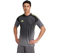 adidas Tiro 25 Competition Maillot de gardien M Gris Foncé/Vert