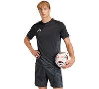 Adidas Tiro26 Competition Goalkeeper Jersey Short Sleeve T-shirt Noir S / Regular Homme