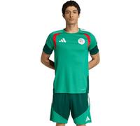 adidas Training Shirt Algérie Coupe du Monde 26 Vert/Vert Foncé XS