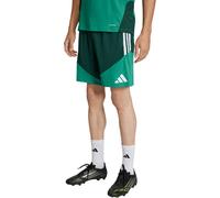 adidas Training Short Algérie WK 26 Vert Foncé/Vert M