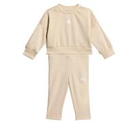Adidas Ensemble sweatshirt et pantalon de jogging bébé Seasonals Beige 12/18 mois Unisex