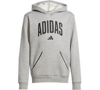Adidas Unisex Kids' Fleece Hoodie Gris/Noir 7-8 ans Unisex