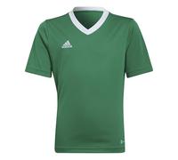 adidas Unisex Kids Jersey Ent22 JSY Y, Teagrn/White, HI2126, 164 EU