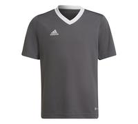 adidas Unisex Kids Jersey Ent22 JSY Y, Tegrfo, H57499, 128 EU