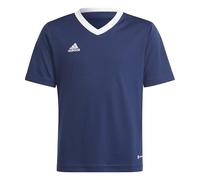 adidas Unisex Kids Jersey Ent22 JSY Y, Tenabl, H57564, 140 EU