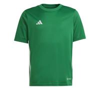 adidas Unisex Kids Jersey (Short Sleeve) Tabela 23 JSY Y, Teagrn/White, IA9157, Size 128