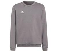 adidas Unisex Kids Sweatshirt Ent22 SW Topy, Tegrfo, H57477, 176 EU 15-16 ans