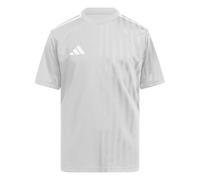 Adidas Campeon 25 Short Sleeve T-shirt Gris 15-16 Years Garçons,Filles