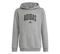 adidas Unisex Kinder Codes Collegiate Graphic Hoodie, Medium Grey Heather, 13-14 Years