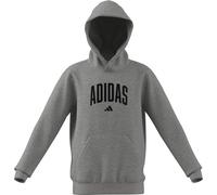 adidas Unisex Kinder Codes Collegiate Graphic Hoodie, Medium Grey Heather, 5-6 Years