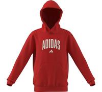 adidas Unisex Kinder Codes Collegiate Graphic Hoodie, Pure Ruby, 5-6 Years