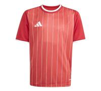adidas Unisex Kinder Entrada26 Graphic Jersey Kids, Team Power Red 2/White, 7-8 Years