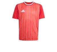 adidas Unisex Kinder Entrada26 Graphic Jersey Kids, Team Power Red 2/White, 9-10 Years