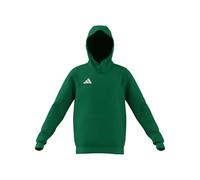 adidas Unisex Kinder Entrada26 Hoodie Kids, Team Green/White, 5-6 Years