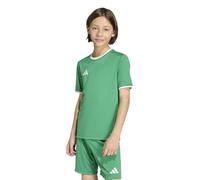 adidas Unisex Kinder Entrada26 Jersey Kids, Team Green/White, 9-10 Years