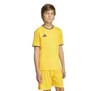 adidas Unisex Kinder Entrada26 Jersey Kids, Team Yellow/Black, 7-8 Years