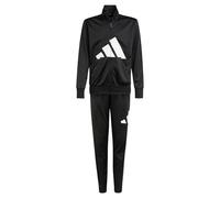 adidas Unisex Kinder ESSENTIALS BIG LOGO CLIMACOOL TRACKSUIT, black/white, 11-12 Years