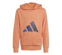 adidas Unisex Kinder Essentials BIG Logo Hoodie, Dusky Orange/Team Royal Blue/Dark Blue/Aurora Ink, 9-10 Years