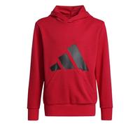 adidas Unisex Kinder Essentials BIG Logo Hoodie, Pure Ruby/Black, 15-16 Years