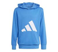 adidas Unisex Kinder Essentials BIG Logo Hoodie, Ray Blue/White, 9-10 Years