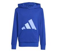 Adidas Unisex Kinder Essentials BIG Logo Hoodie, Team Royal Blue/Blue Fusion/Glow Blue, 7-8 Years