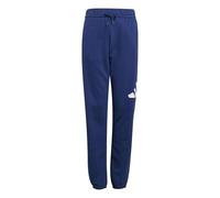 Adidas Unisex Kinder Essentials BIG Logo Pants, Dark Blue/White, 15-16 Years