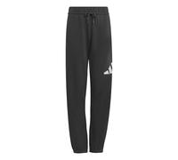 adidas Unisex Kinder Essentials BIG Logo Pants, Grey Six/White, 15-16 Years